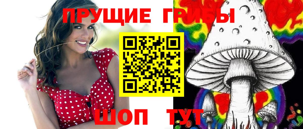 Псилоцибиновые грибы мицелий  Вход с VPN  Котлас 