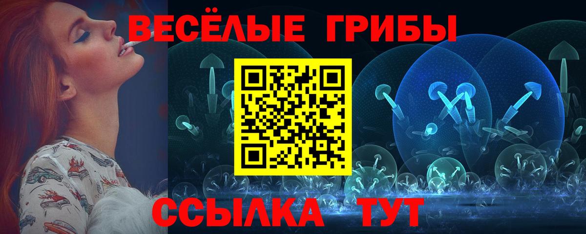 Галлюциногенные грибы мухоморы Котлас